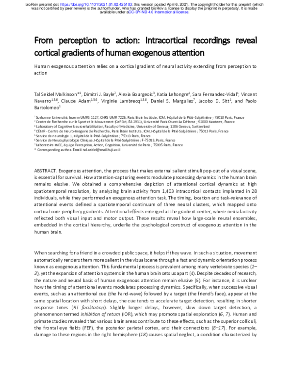 (PDF) From perception to action: Intracortical recordings reveal ...