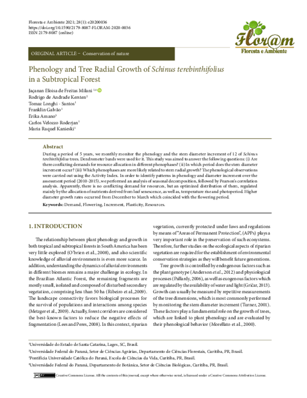 (PDF) Phenology and Tree Radial Growth of Schinus terebinthifolius in a ...