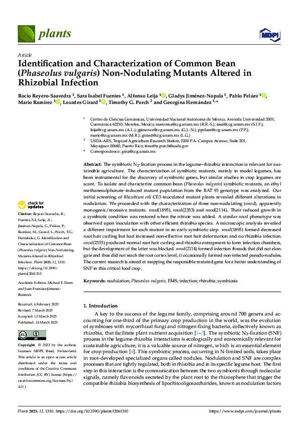 (PDF) Identification and Characterization of Common Bean (Phaseolus ...