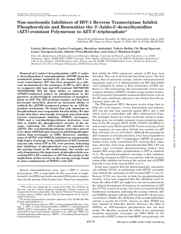 (PDF) Non-nucleoside Inhibitors of HIV-1 Reverse Transcriptase Inhibit ...
