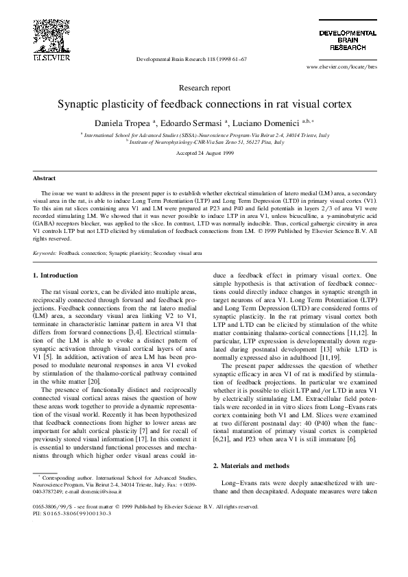 (PDF) Synaptic plasticity of feedback connections in rat visual cortex ...