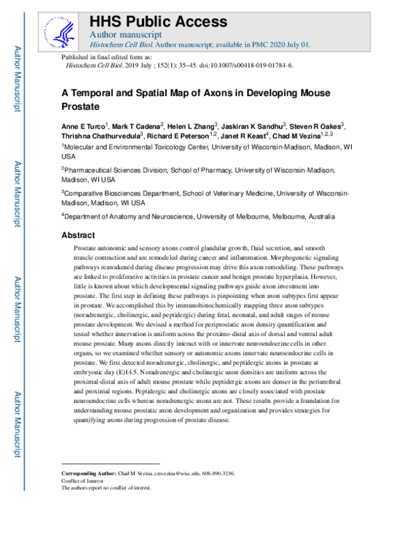 (PDF) A temporal and spatial map of axons in developing mouse prostate