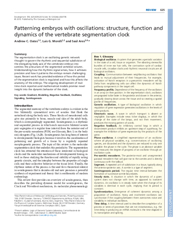 (PDF) Patterning embryos with oscillations: structure, function and ...
