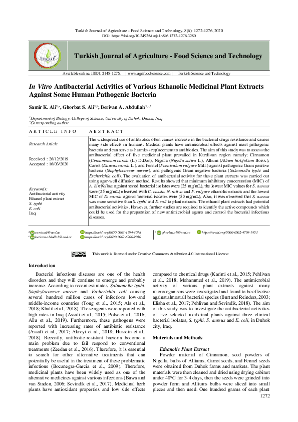 (PDF) In Vitro Antibacterial Activities of Various Ethanolic Medicinal ...