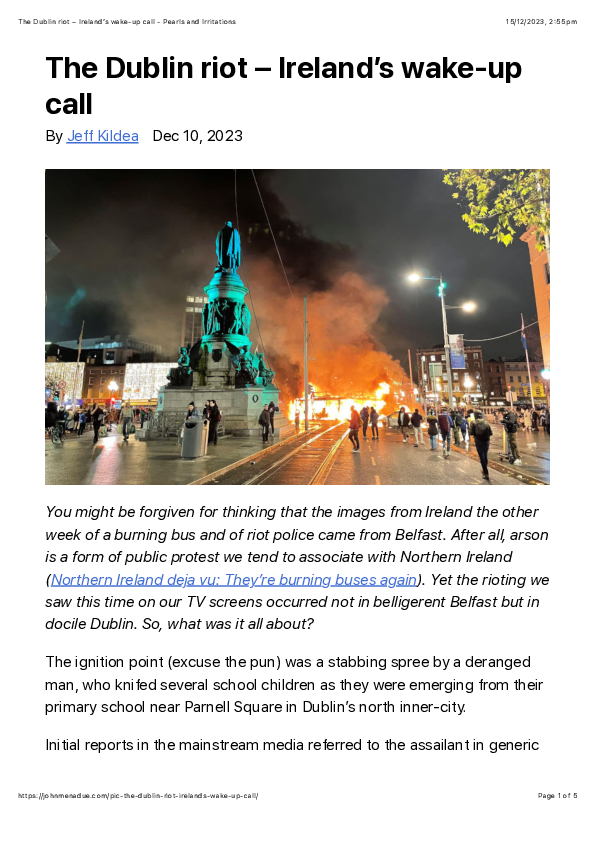 (PDF) The Dublin riot - Ireland's wake-up call