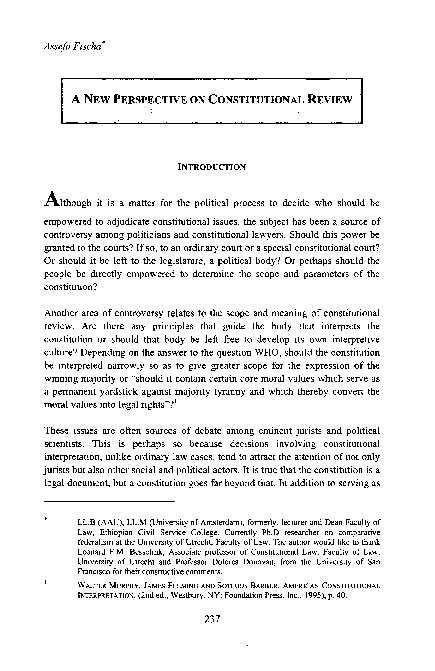 (PDF) A New Perspective on Constitutional Review