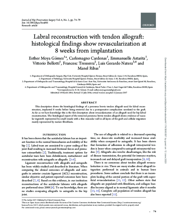 (PDF) Labral reconstruction with tendon allograft: histological ...