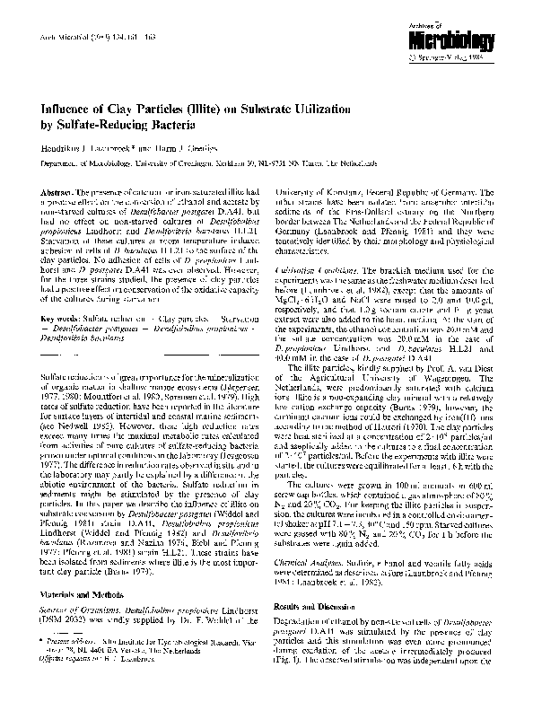 Influence of clay particles (Illite) on substrate utilization by sulfate-reducing bacteria