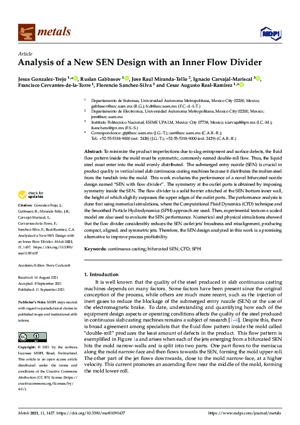 (PDF) Analysis of a New SEN Design with an Inner Flow Divider