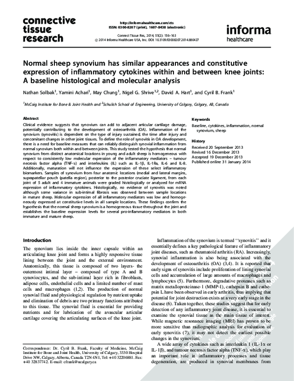 (PDF) Normal sheep synovium has similar appearances and constitutive ...