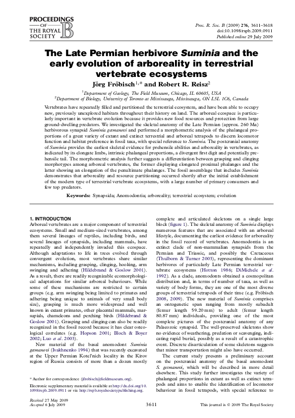 (PDF) The Late Permian herbivore Suminia and the early evolution of ...