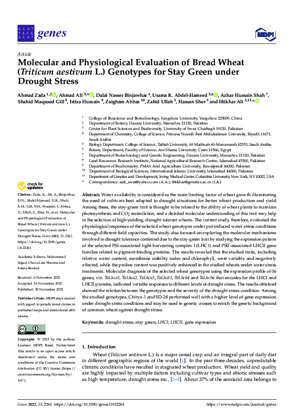(PDF) Molecular and Physiological Evaluation of Bread Wheat (Triticum ...