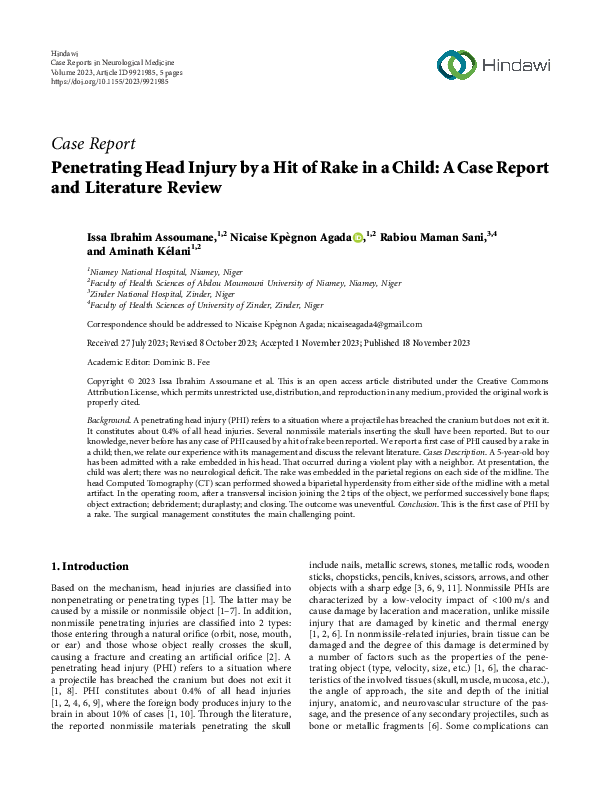 (PDF) Penetrating Head Injury by a Hit of Rake in a Child: A Case ...