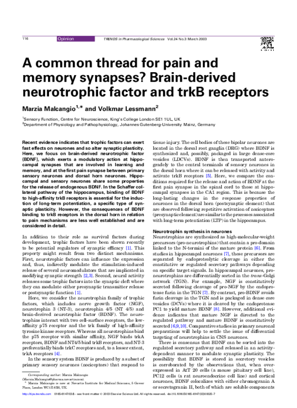 (PDF) A common thread for pain and memory synapses? Brain-derived ...