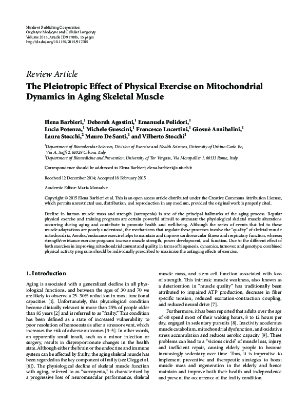 (PDF) The Pleiotropic Effect of Physical Exercise on Mitochondrial ...