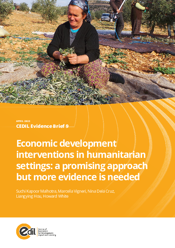 (PDF) Economic development interventions in humanitarian settings: a ...