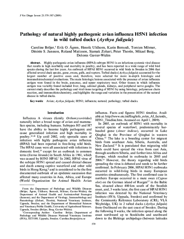 (PDF) Pathology of Natural Highly Pathogenic Avian Influenza H5N1 ...