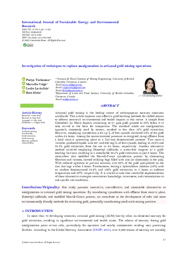 (PDF) Investigation of techniques to replace amalgamation in artisanal ...