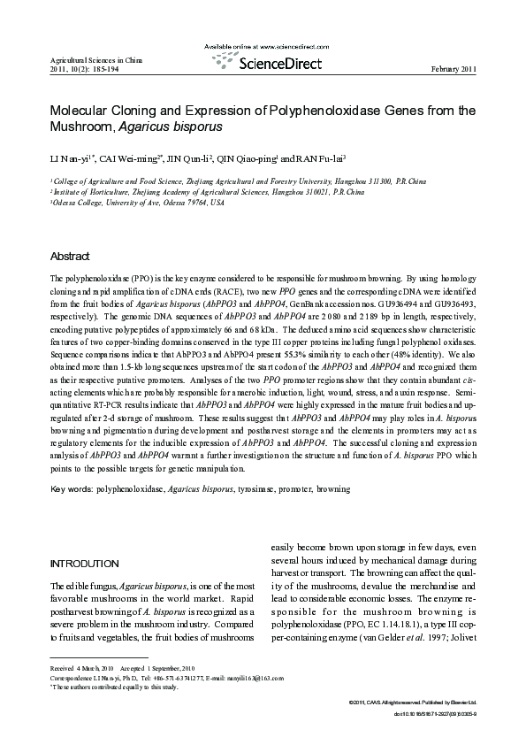 (PDF) Molecular Cloning and Expression of Polyphenoloxidase Genes from ...
