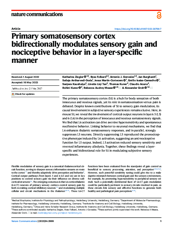 (PDF) Primary somatosensory cortex bidirectionally modulates sensory ...