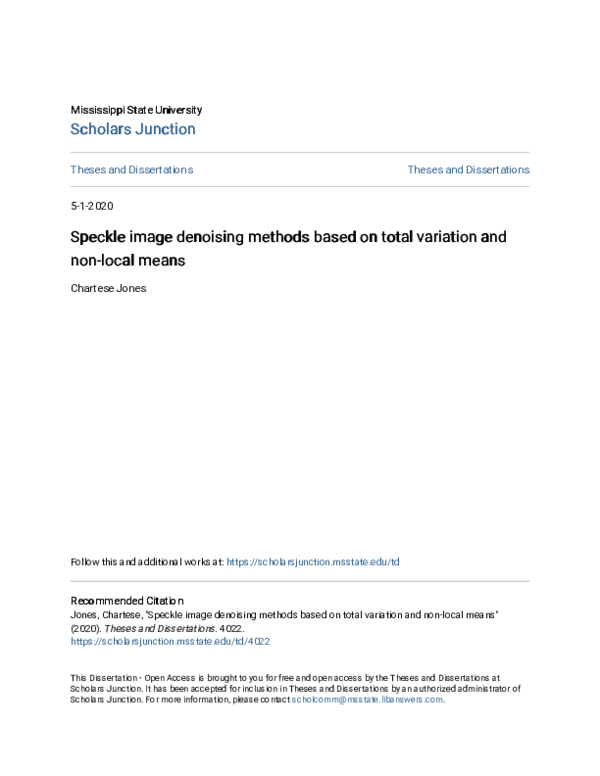 (PDF) Speckle image denoising methods based on total variation and non ...