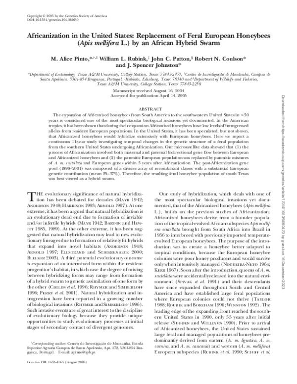 (PDF) Africanization in the United States