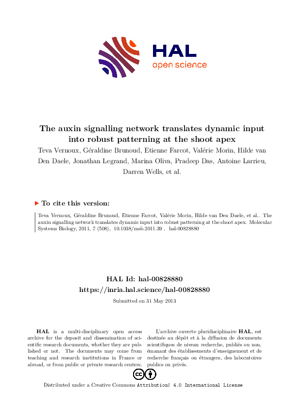 (PDF) The auxin signalling network translates dynamic input into robust ...