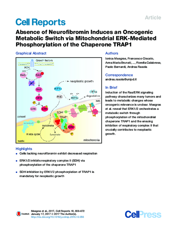 (PDF) Absence of Neurofibromin Induces an Oncogenic Metabolic Switch ...