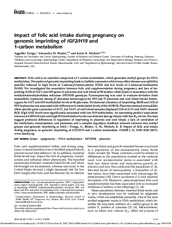 (PDF) Impact of folic acid intake during pregnancy on genomic ...