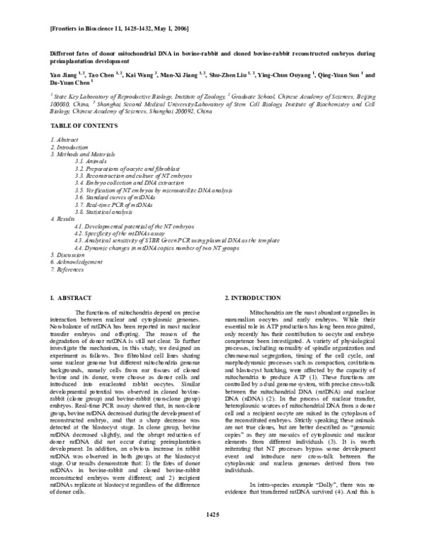 (PDF) Different fates of donor mitochondrial DNA in bovine-rabbit and ...