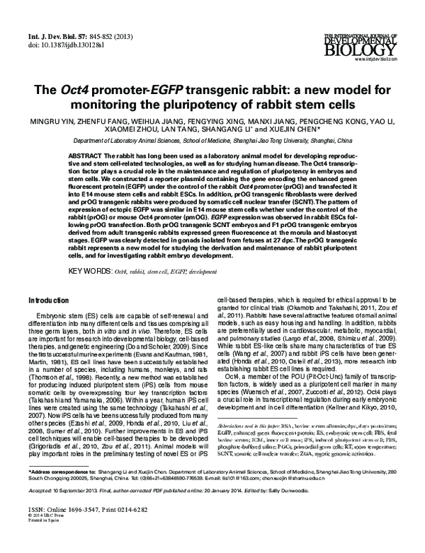 (PDF) The Oct4 promoter-EGFP transgenic rabbit: a new model for ...