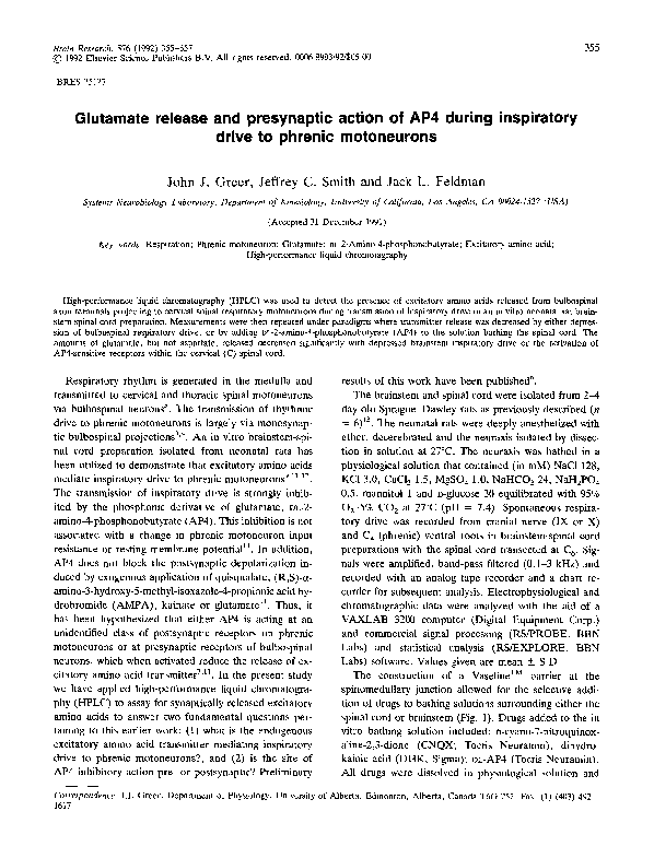 (PDF) Glutamate release and presynaptic action of AP4 during ...