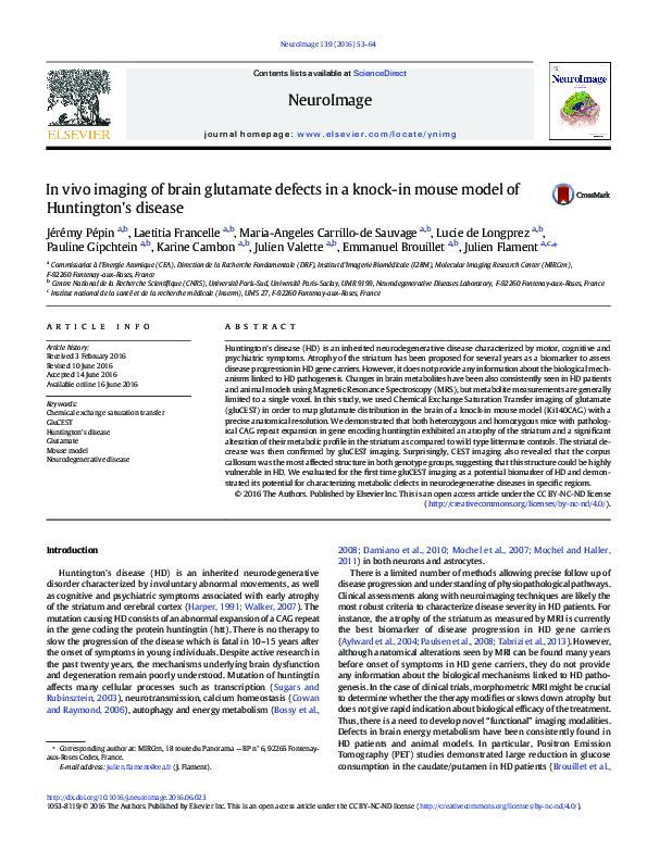 (PDF) In vivo imaging of brain glutamate defects in a knock-in mouse ...