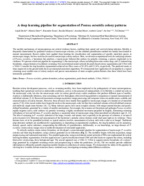 (PDF) A deep learning pipeline for segmentation of Proteus mirabilis ...