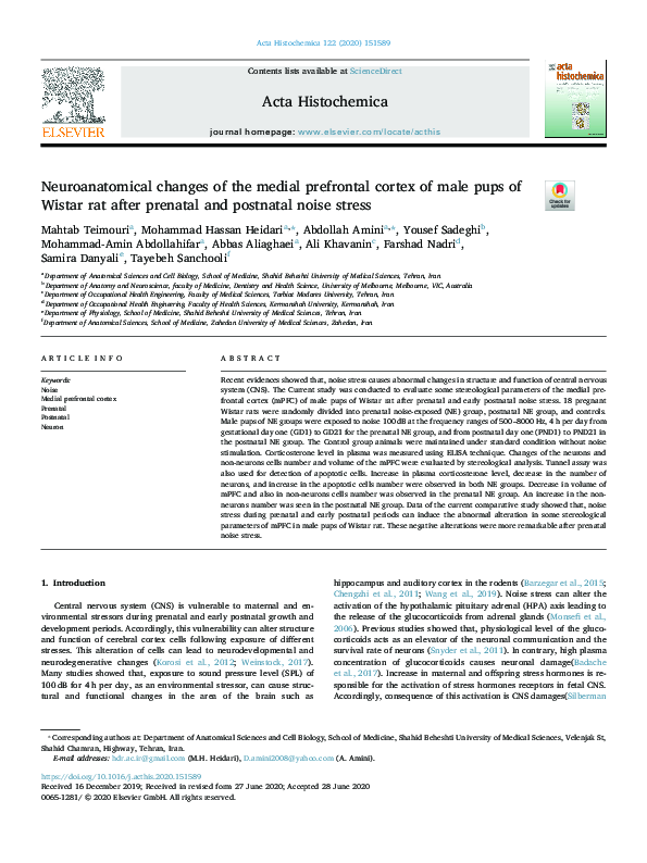 (PDF) Neuroanatomical changes of the medial prefrontal cortex of male ...