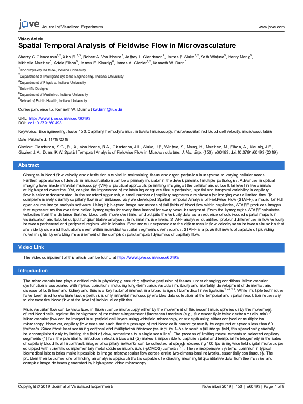 (PDF) Spatial Temporal Analysis of Fieldwise Flow in Microvasculature