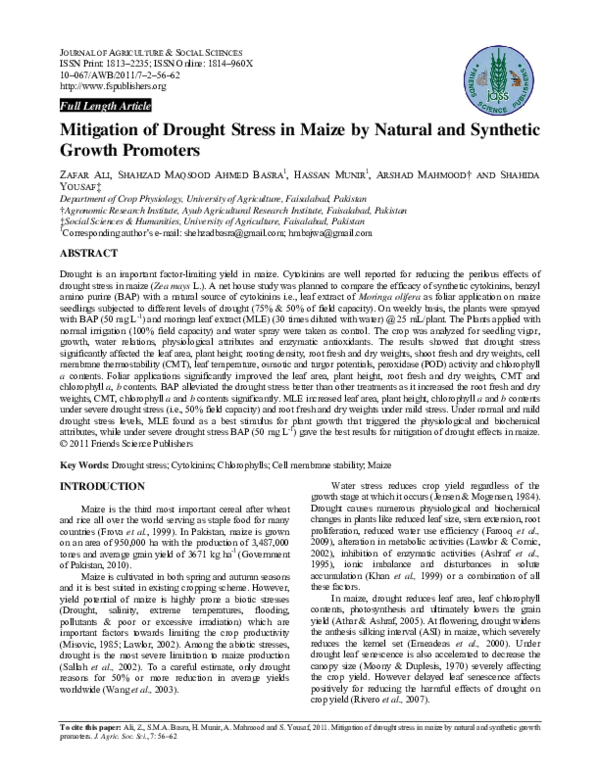 (PDF) Mitigation of drought stress in maize by natural and synthetic ...