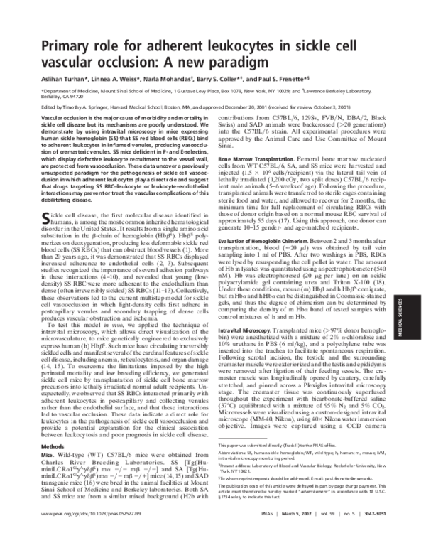 (PDF) Primary role for adherent leukocytes in sickle cell vascular ...