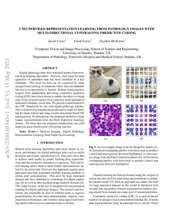 (PDF) Unsupervised Representation Learning from Pathology Images with ...