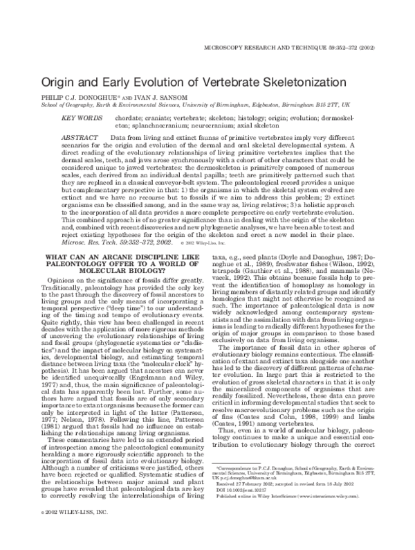 Origin and early evolution of vertebrate skeletonization