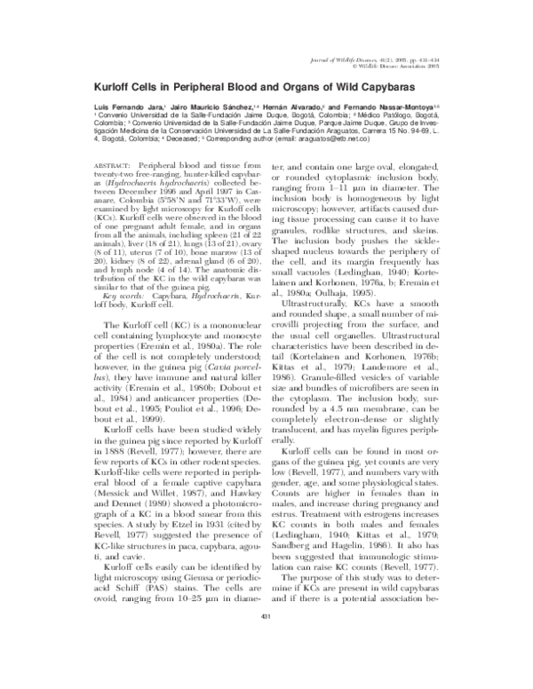 (PDF) Kurloff Cells in Peripheral Blood and Organs of Wild Capybaras