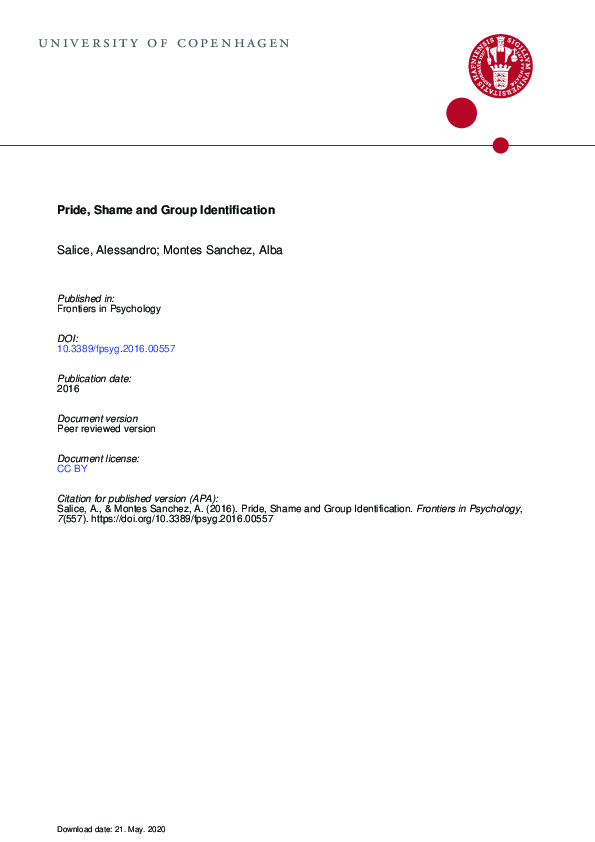 Pdf Pride Shame And Group Identification