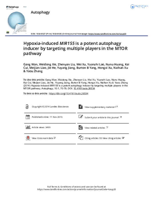 (PDF) Hypoxia-induced MIR155 is a potent autophagy inducer by targeting ...