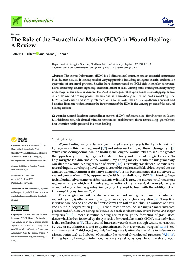 (PDF) The Role of the Extracellular Matrix (ECM) in Wound Healing: A Review