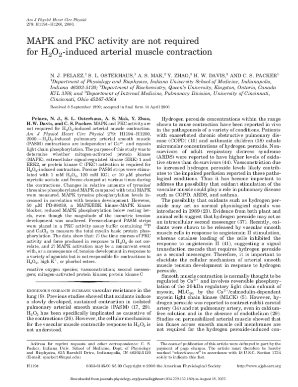 (PDF) MAPK and PKC activity are not required for H2O2-induced arterial ...