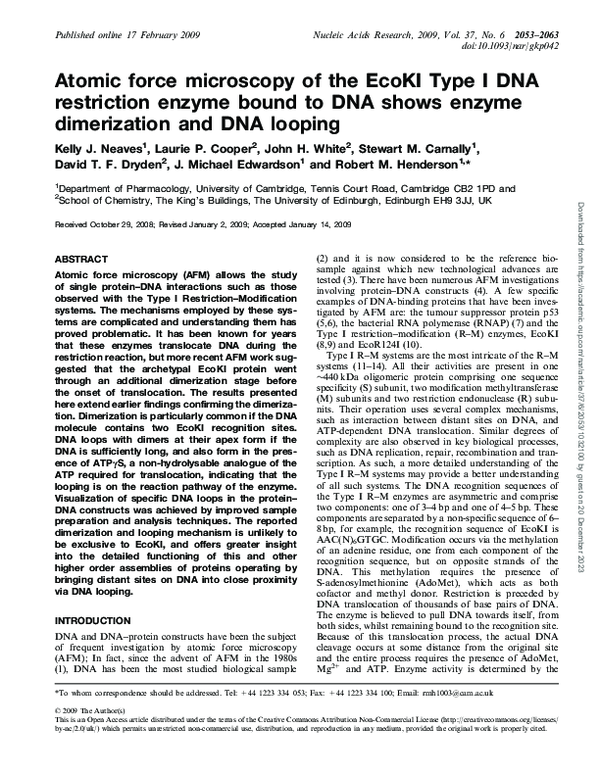 (PDF) Atomic force microscopy of the EcoKI Type I DNA restriction ...