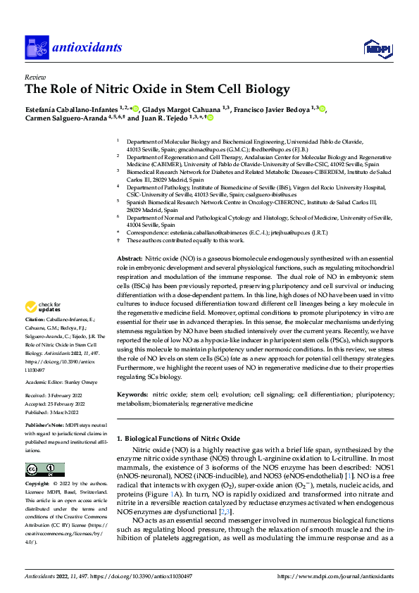 (PDF) The Role of Nitric Oxide in Stem Cell Biology