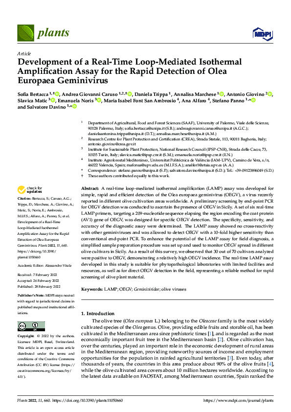 (PDF) Development of a Real-Time Loop-Mediated Isothermal Amplification ...