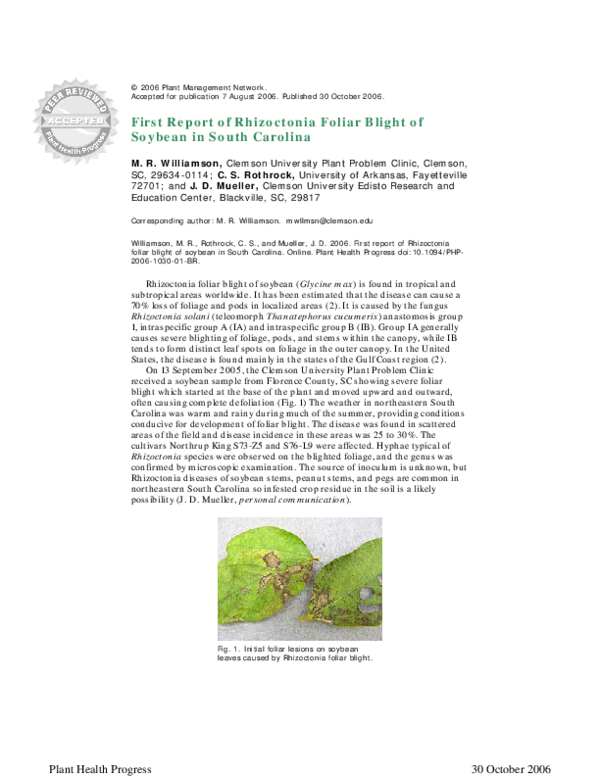 (PDF) First Report of Rhizoctonia Foliar Blight of Soybean in South ...