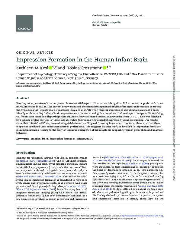 (PDF) Impression formation in the human infant brain